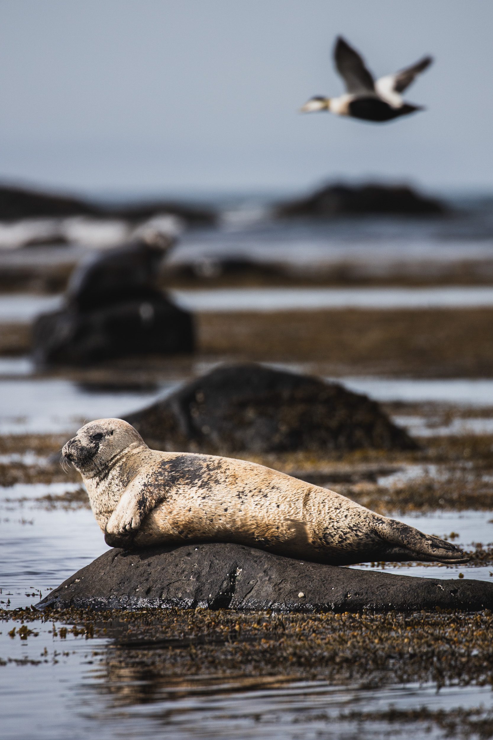 My Top 5 Photography Locations in Iceland