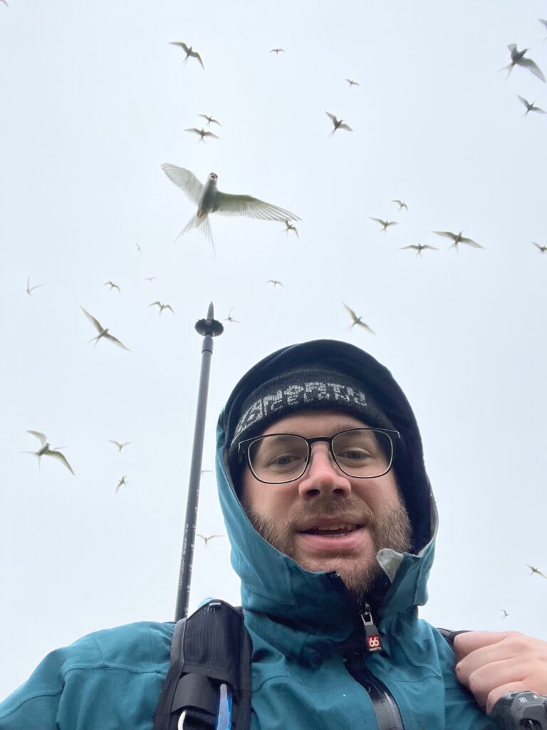 Behind the Shot - The Hungry Puffin