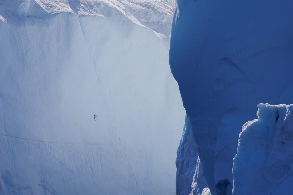 Workshop Report: West Greenland in 5 Images