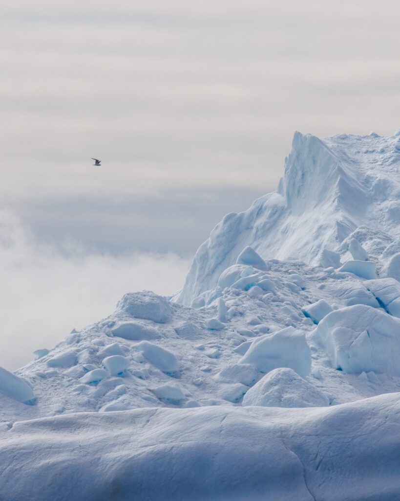 Birds flying around an iceberg in Ilulissat Greenland