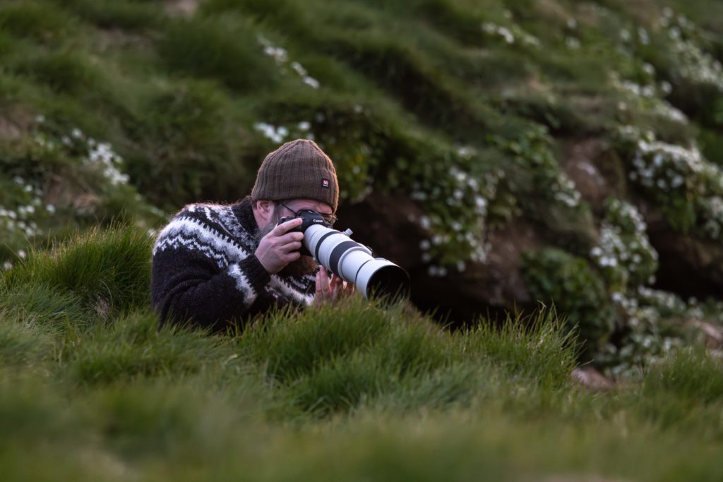 Bird photography workshop in Iceland