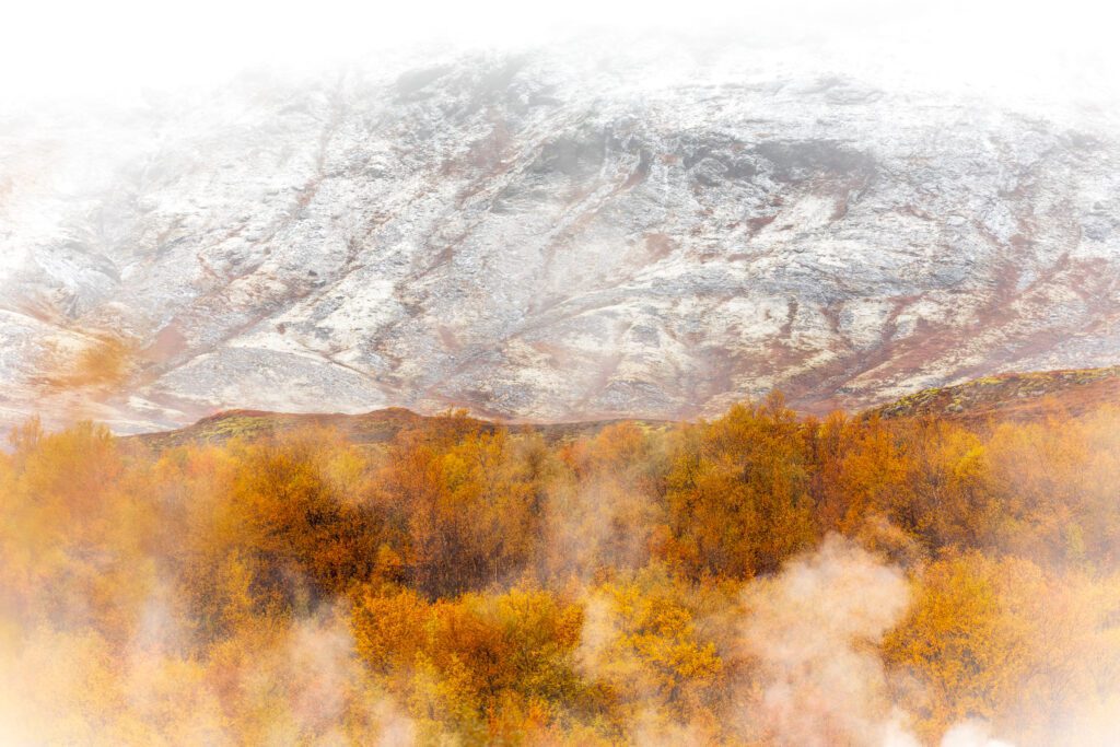 Snow-streaked mountain wall rising above autumn-coloured birch in drifting mist, near Geysir.