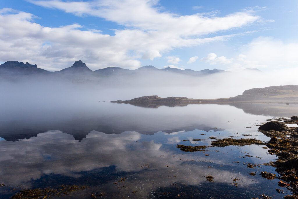 Misty Berufjörður with jagged peaks reflected in glassy water and seaweed-covered shore.