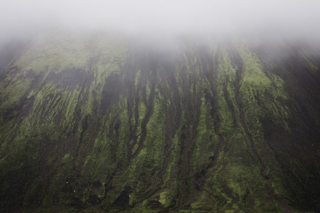Close-up of a moss-streaked dark slope with mist creeping over the top.