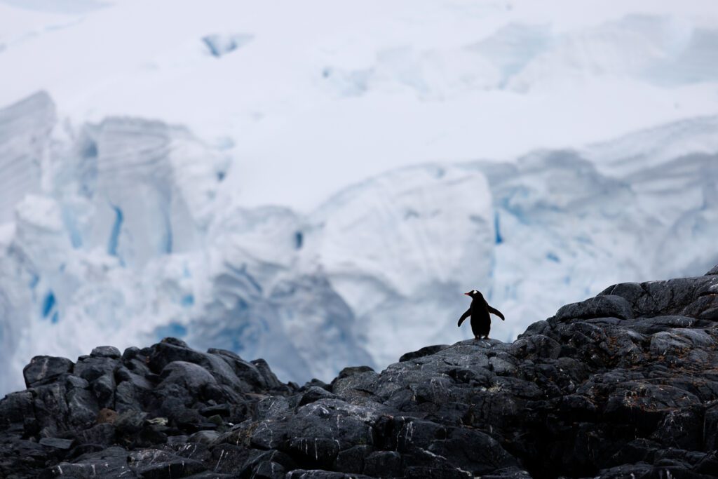 Antarctica: Photography At The Edge Of The World (Part 1)