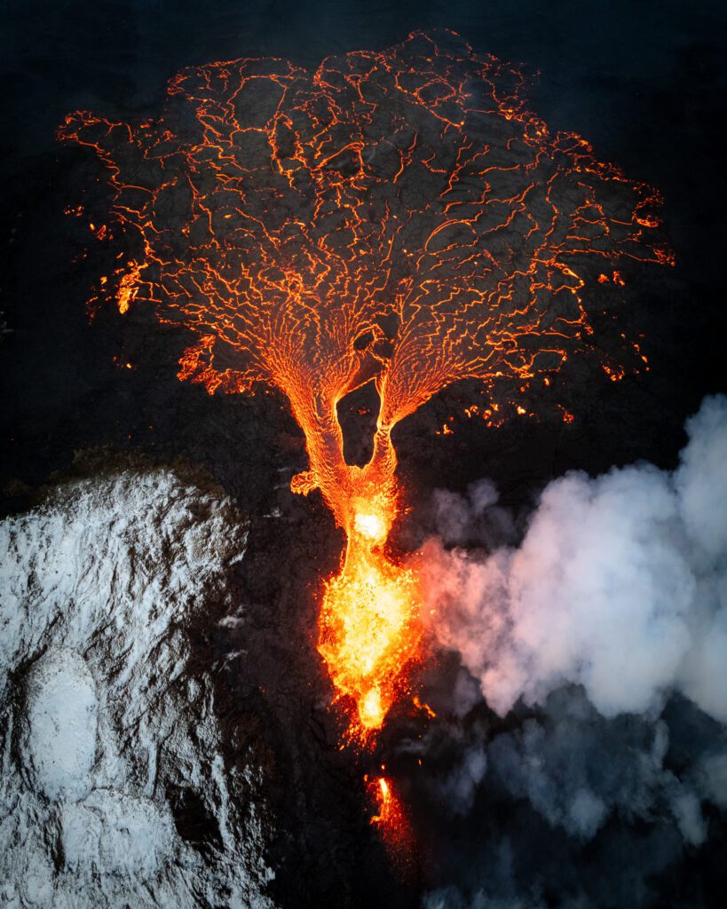 FEP Awards 2024 - Sixth Place in 'Nature'!