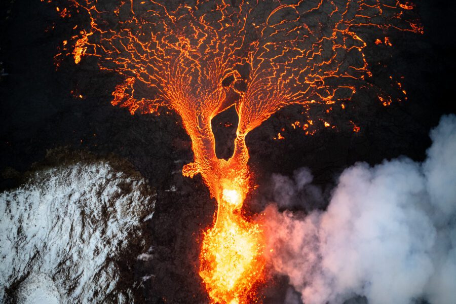 FEP Awards 2024 - Sixth Place in 'Nature'!