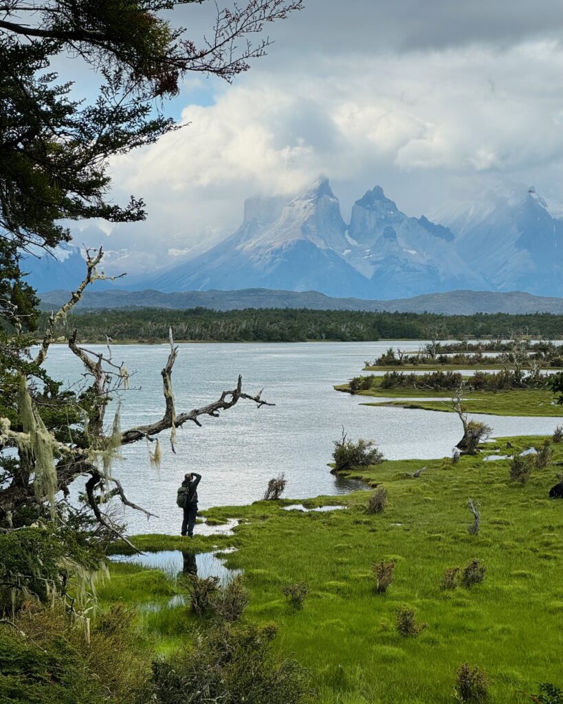 Overlooking the swamps near Rio Serrano in Chile.