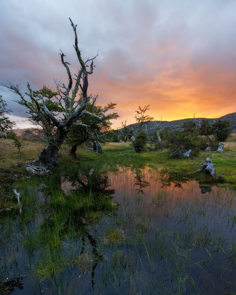 Sunrise near the Rio Serrano Hotel.