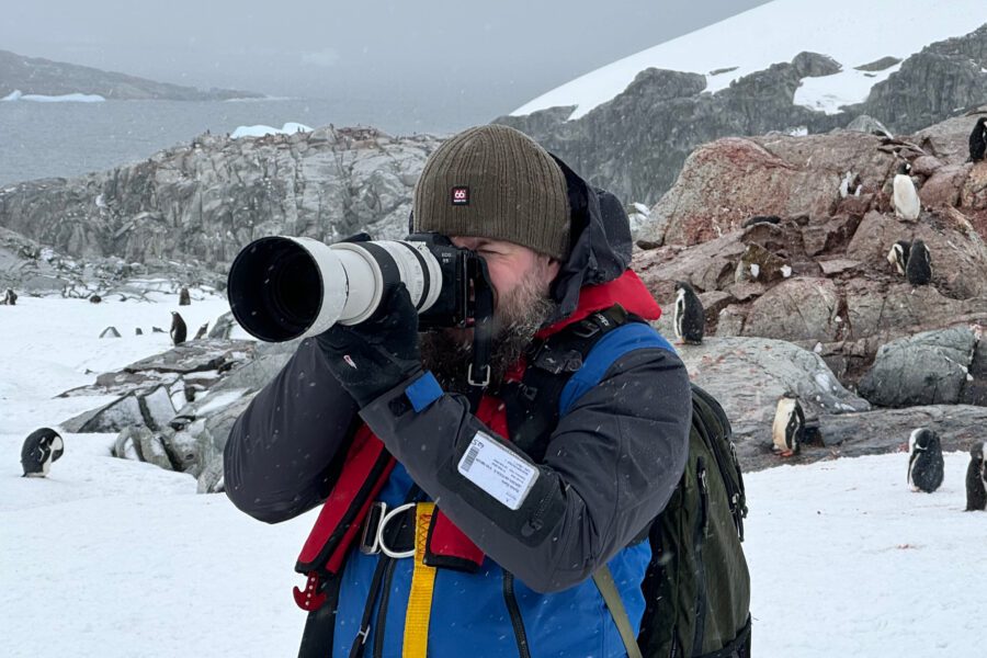 Review - Why I Love My Canon RF 100-500mm F4.5-7.1 L IS USM