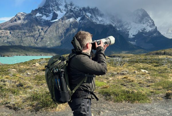 Review - Why I Love My Canon RF 100-500mm F4.5-7.1 L IS USM