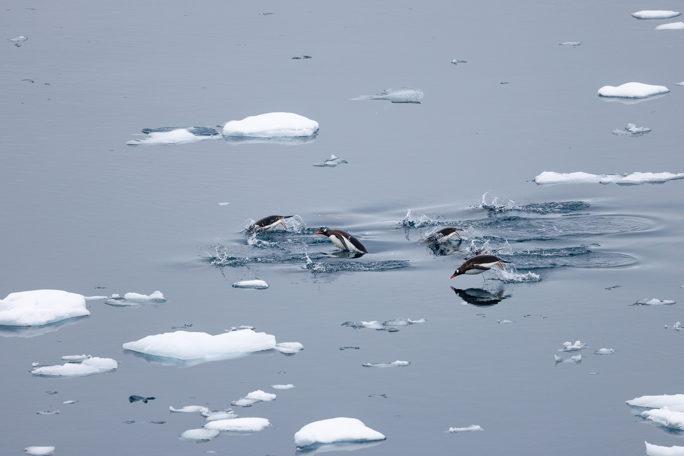Getting The Best Results When Photographing From A Boat Or Ship