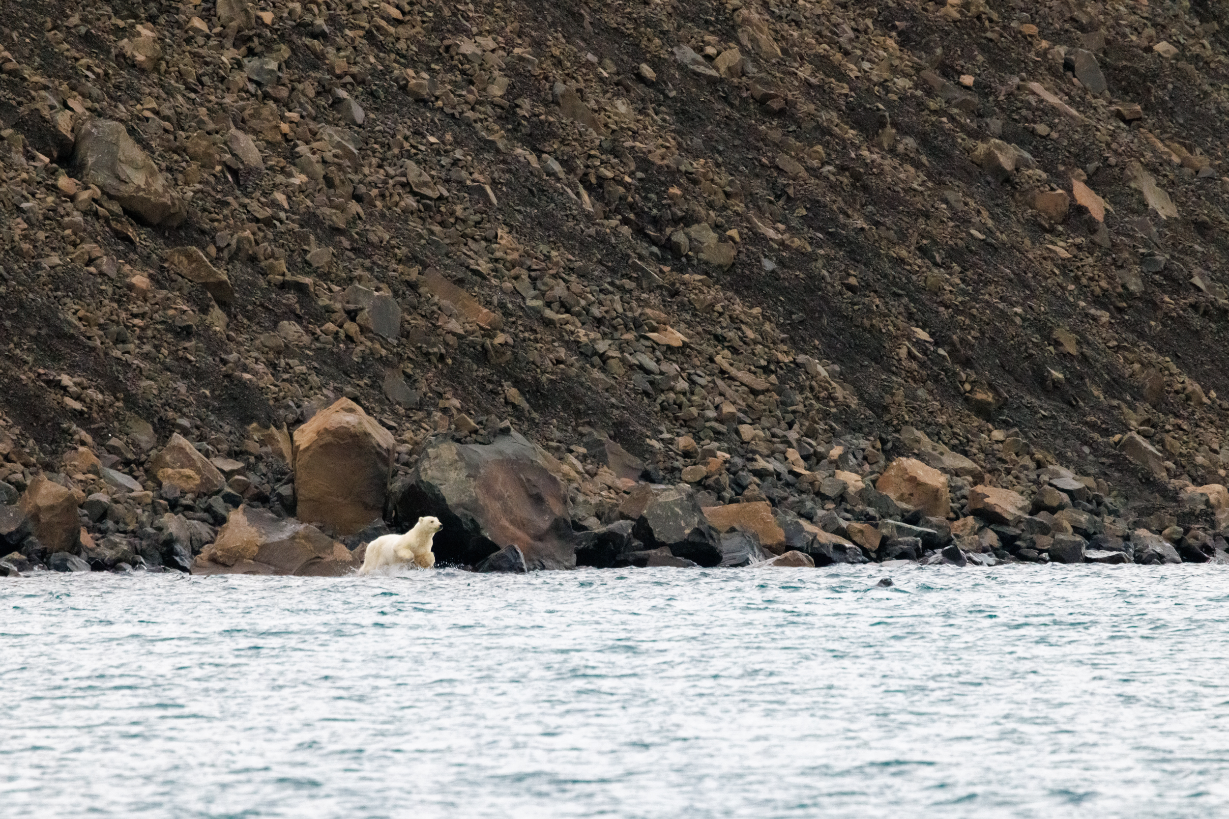 Eastern Greenland: Exploring The Solitude of Scoresbysund