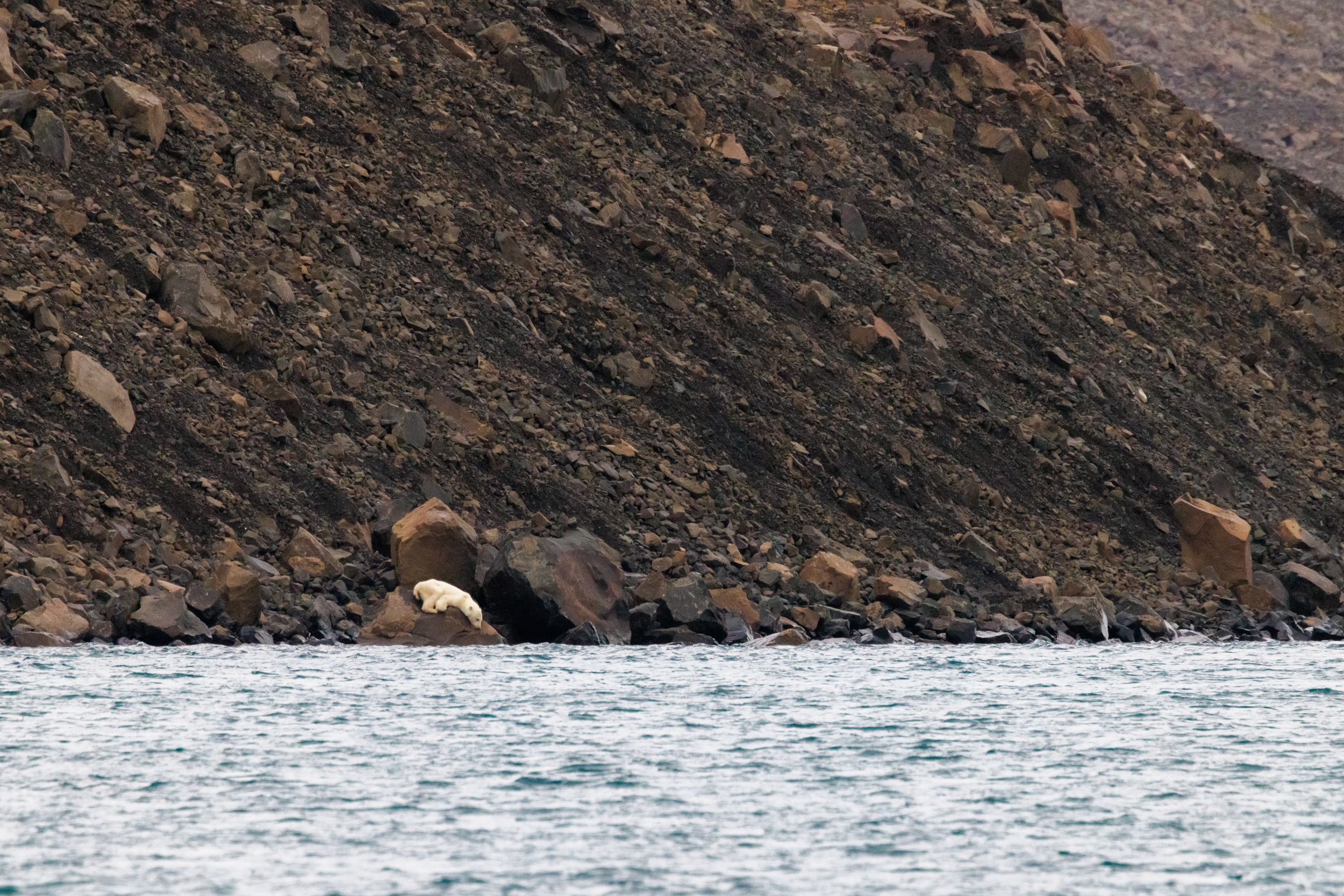Eastern Greenland: Exploring The Solitude of Scoresbysund