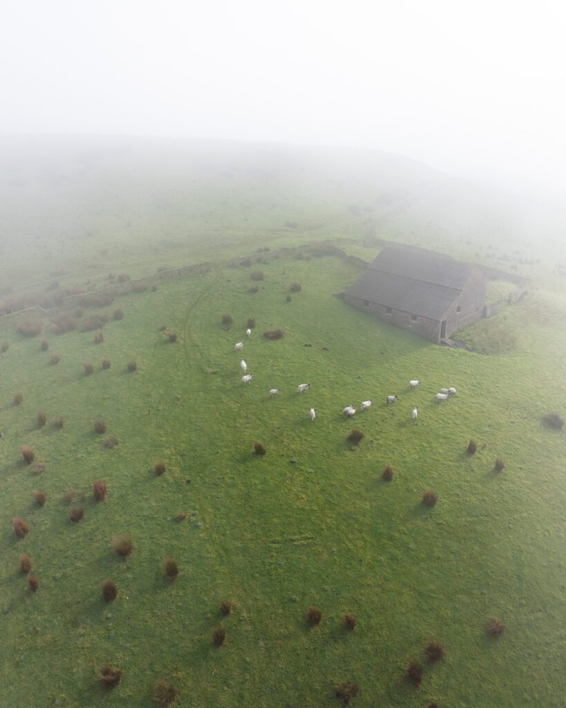 United Kingdom A barn in the Peak District with sheep