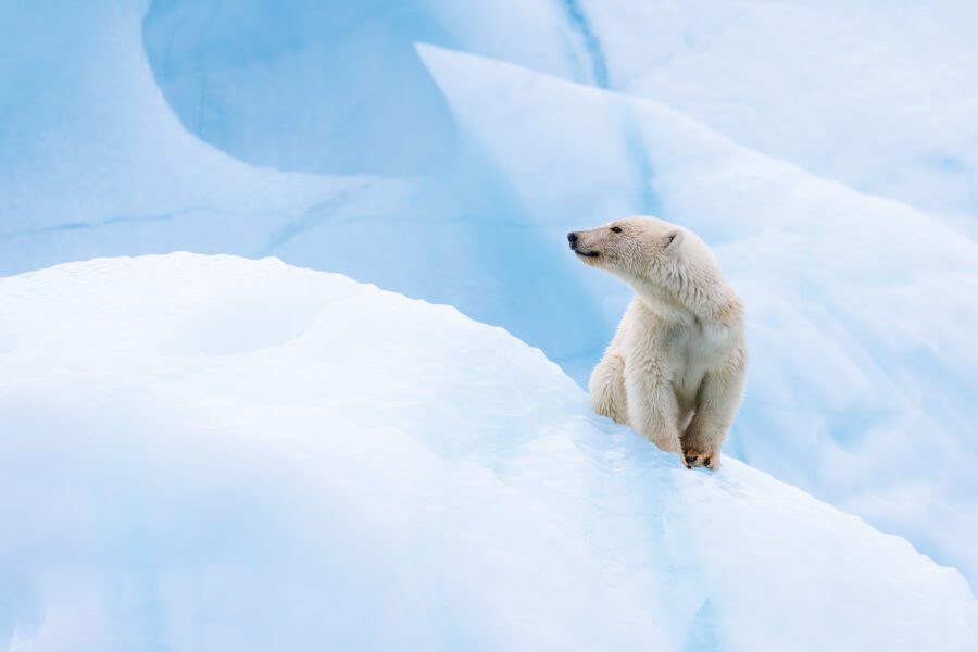 My 5 Favourite Camera Photographs Of 2024