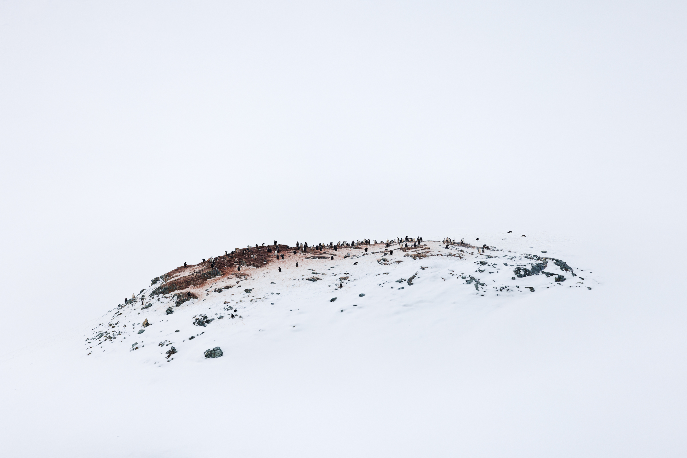 My 5 Favourite Camera Photographs Of 2024