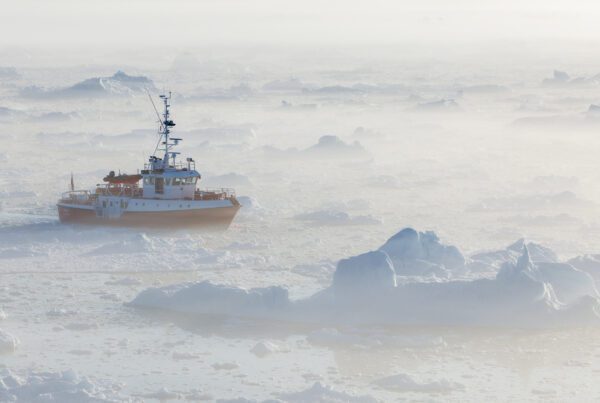 Small expedition boat threading between icebergs in thick sea fog off West Greenland